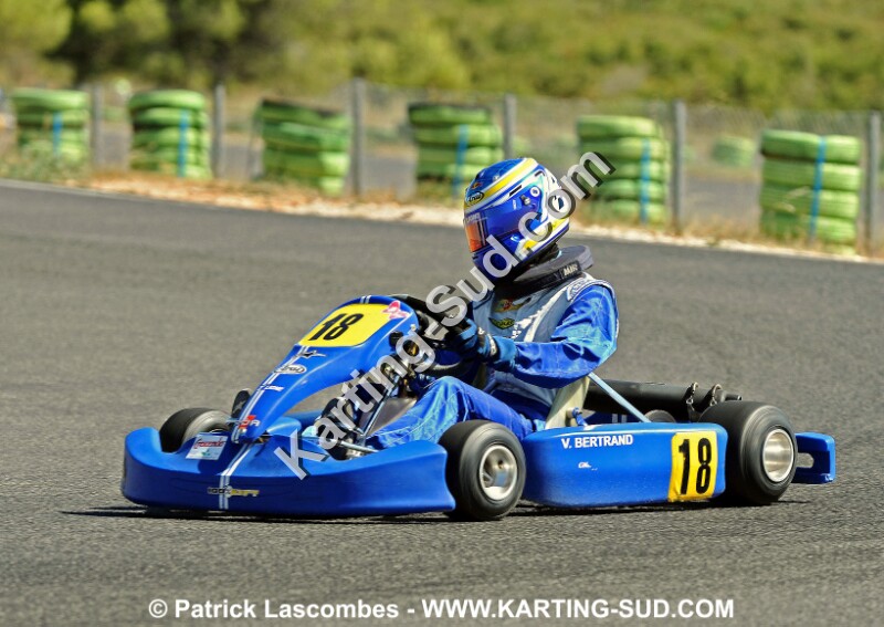 DSC_6678 copie.jpg